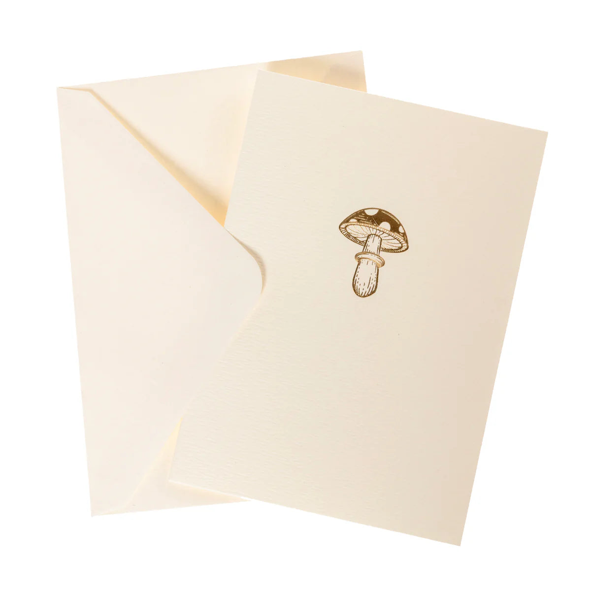 Mushroom Boxed Cards