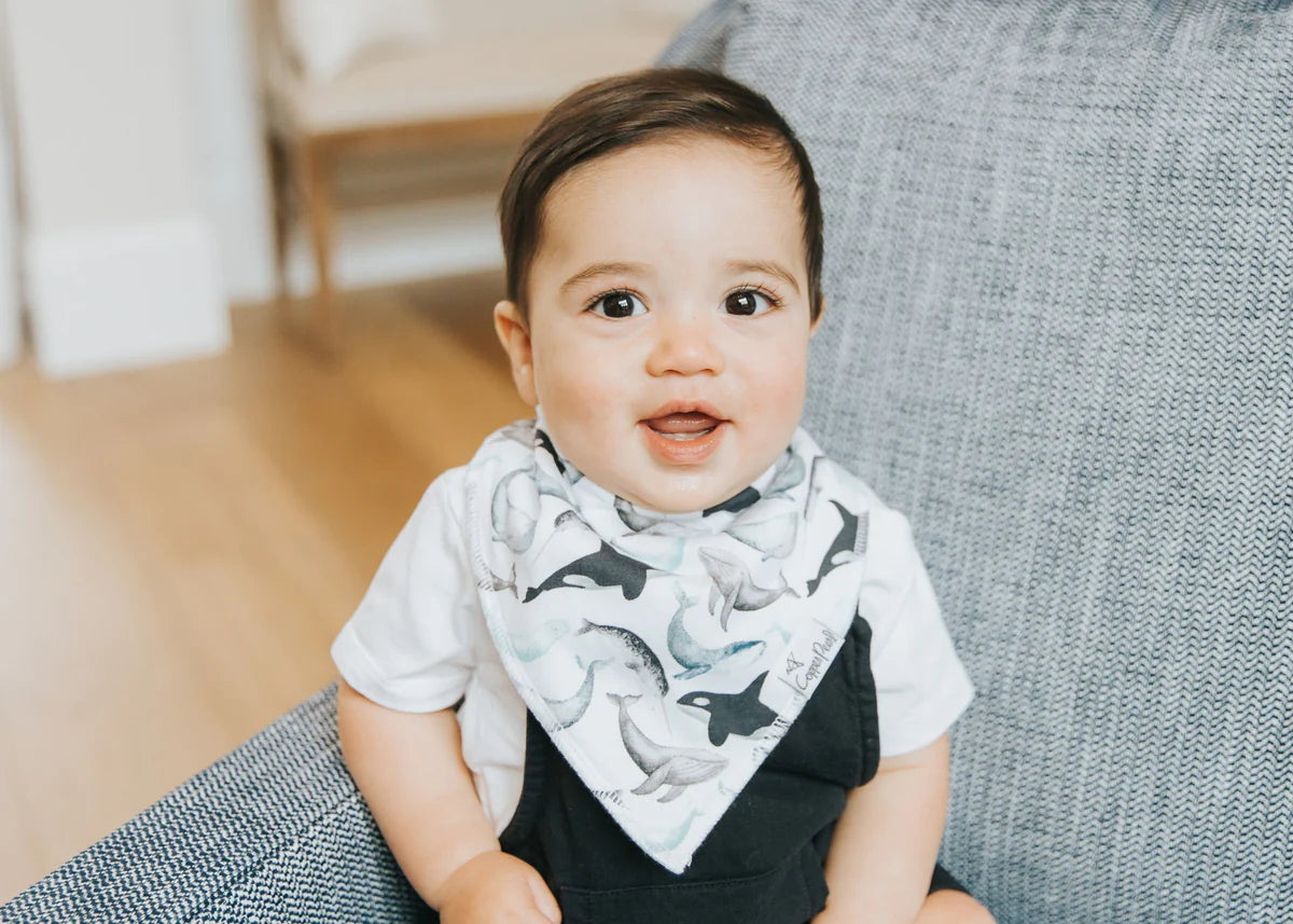 Set of 4 Bandana Bibs - Kai