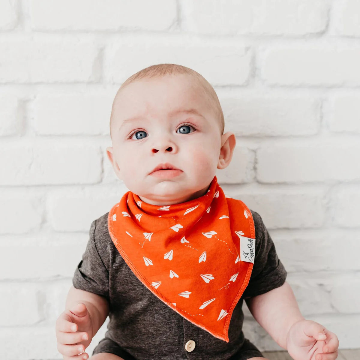 Set of 4 Bandana Bibs - Ace