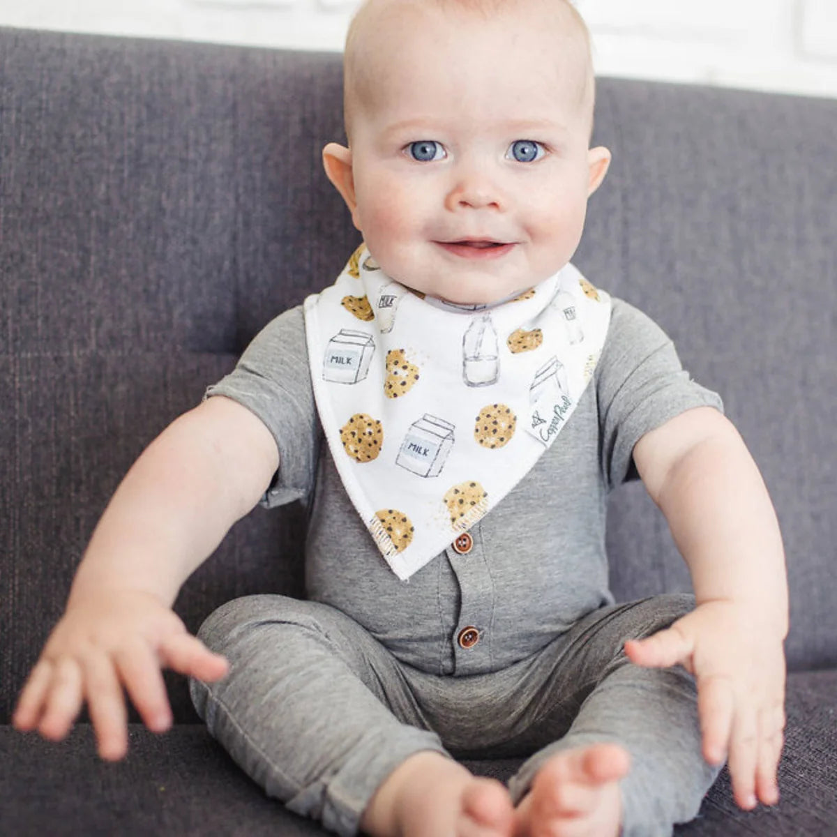 Chip Bandana Bib Set