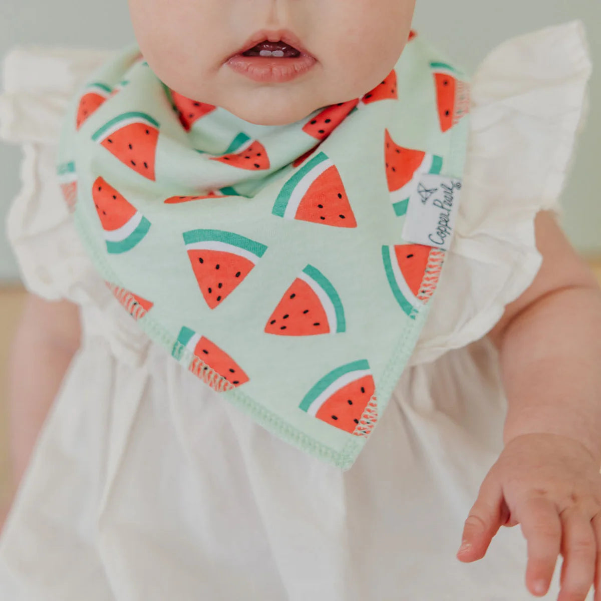 Set of 4 Bandana Bibs - Clementine