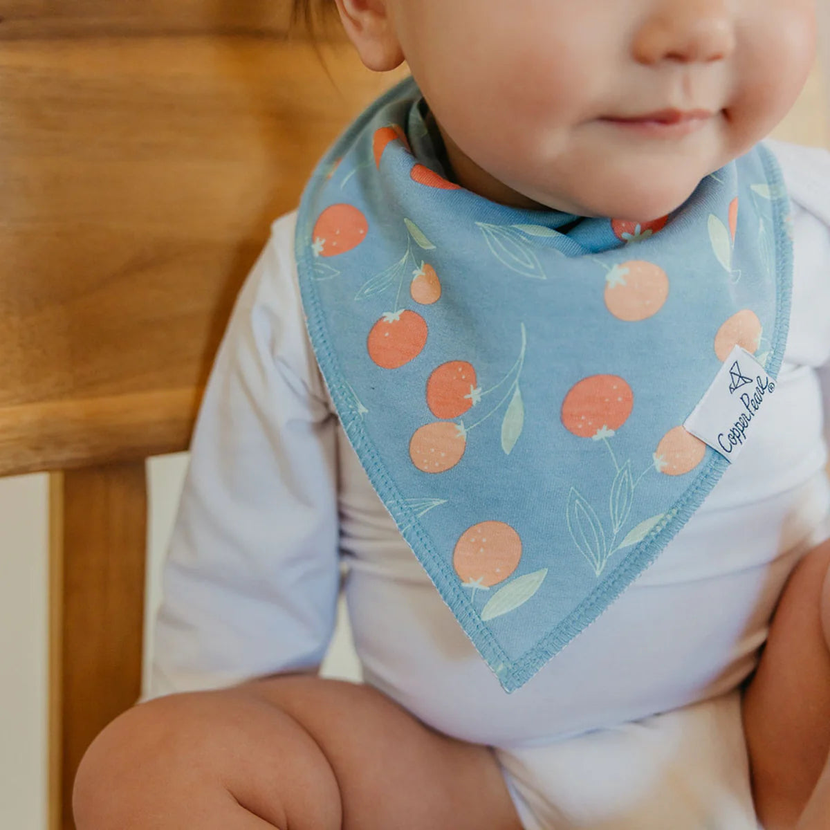 Set of 4 Bandana Bibs - Clementine