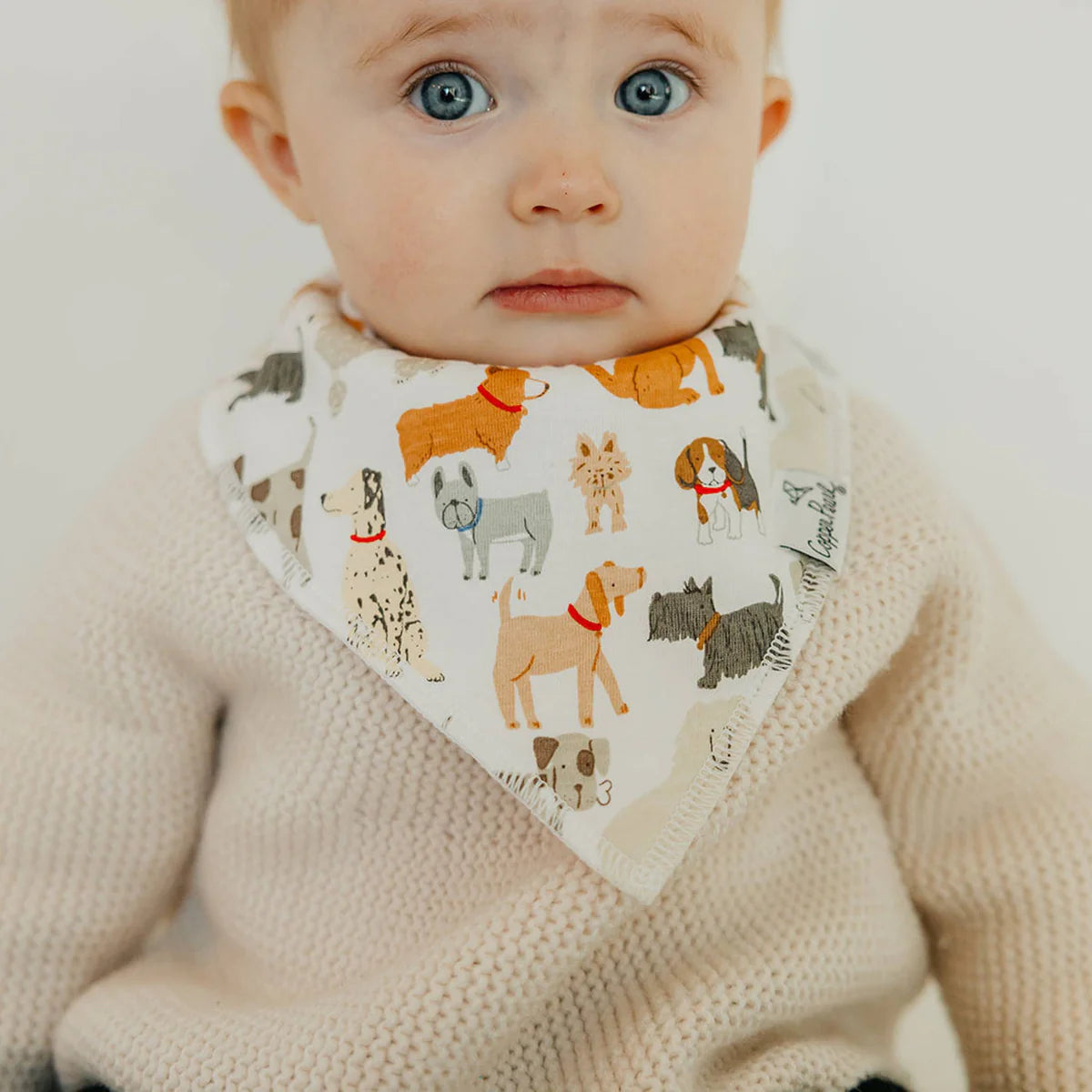 Rufus Bandana Bib Set