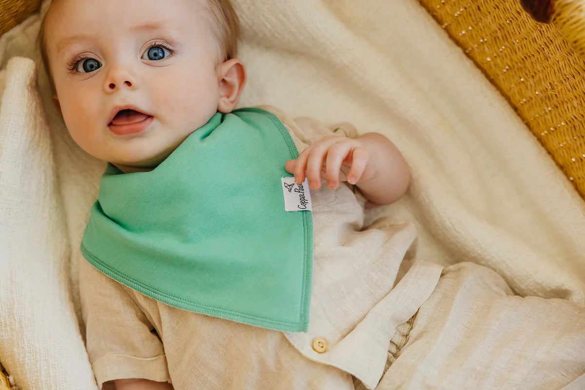 Set of 4 Bandana Bibs - Veggies