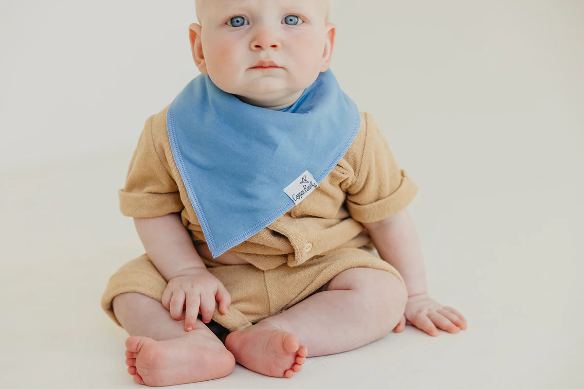 Set of 4 Bandana Bibs - Veggies