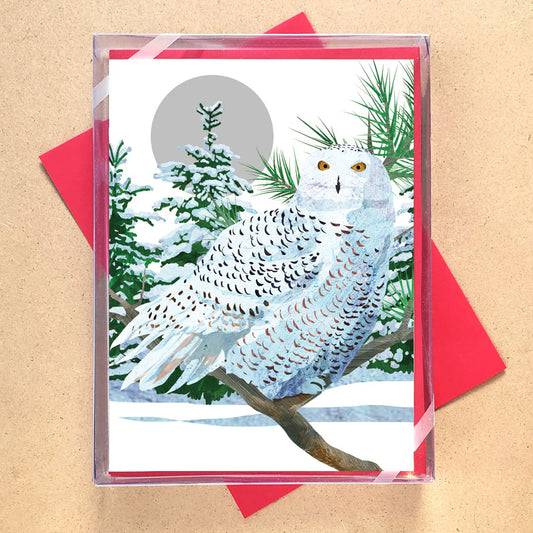 Boxed Cards - Snowy White Owl