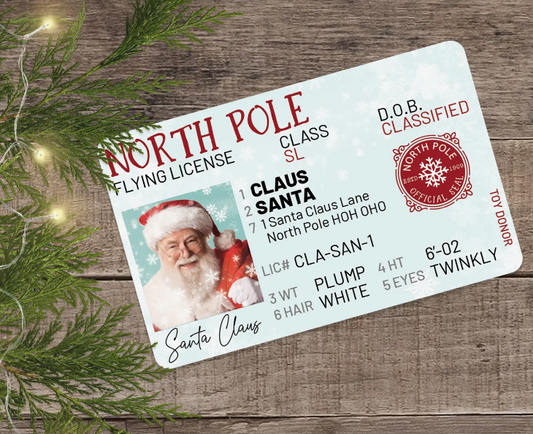 Santa's Lost Flying License