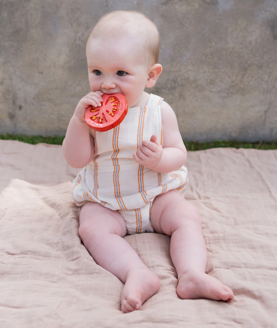 Renato The Tomato Teether