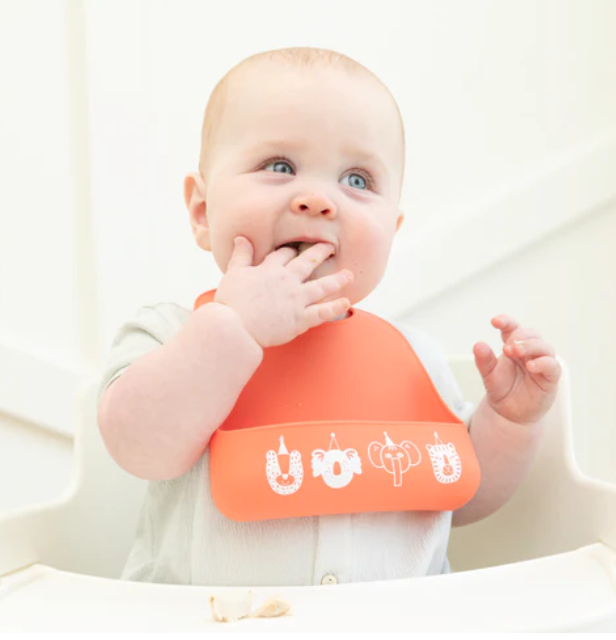 Little Bites Bib - Party Animals