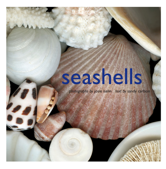 Seashells Book