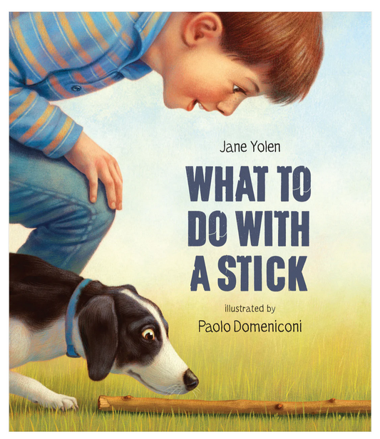 What To Do With A Stick Children's Book