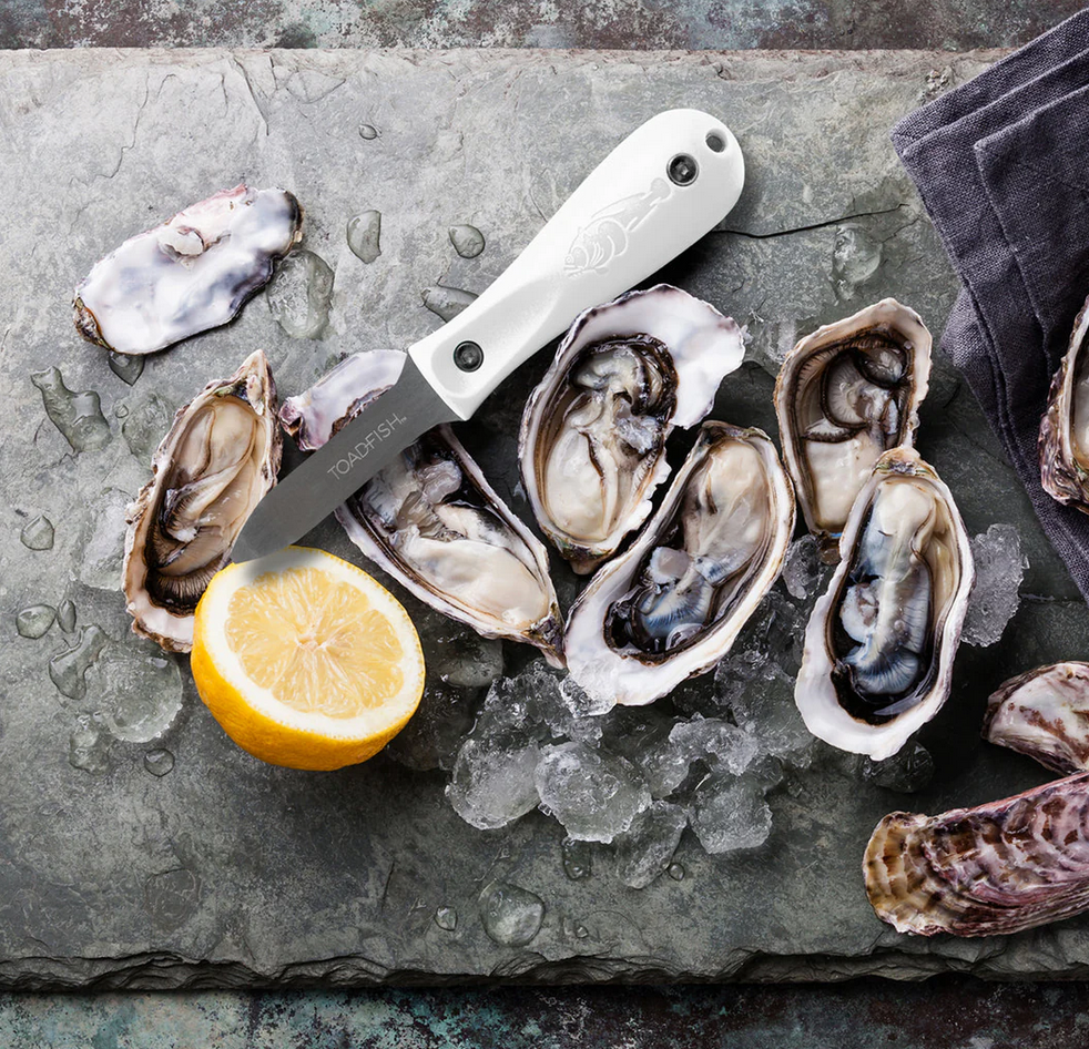 Professional Edition Oyster Knife