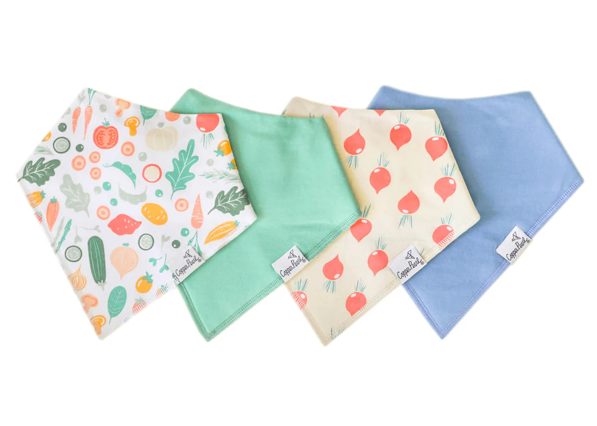 Set of 4 Bandana Bibs - Veggies