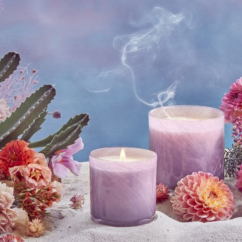 Midnight Cactus Small Candle