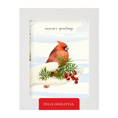 Boxed Cards - Cozy Cardinal