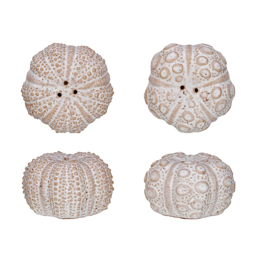 Sea Urchin Salt & Pepper Shakers