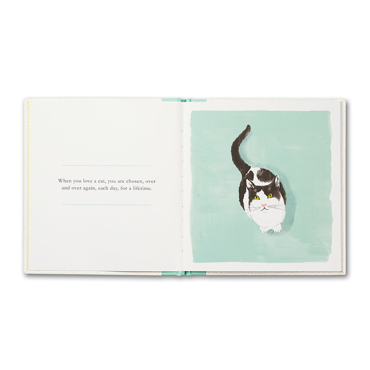 Book - When You Love A Cat