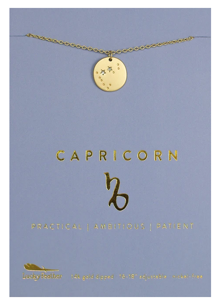 Capricorn Zodiac Necklace