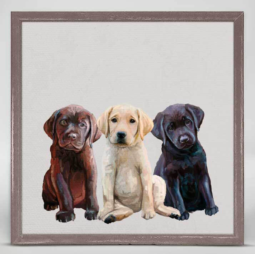 Best Friend - Lab Puppies