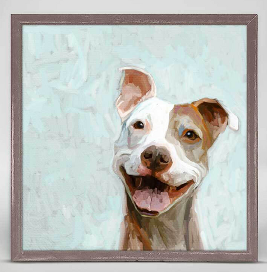 Pit Bull Mini Framed Canvas