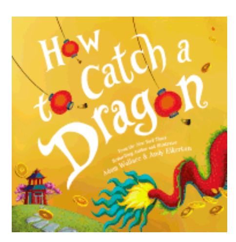 How to Catch a Dragon Book