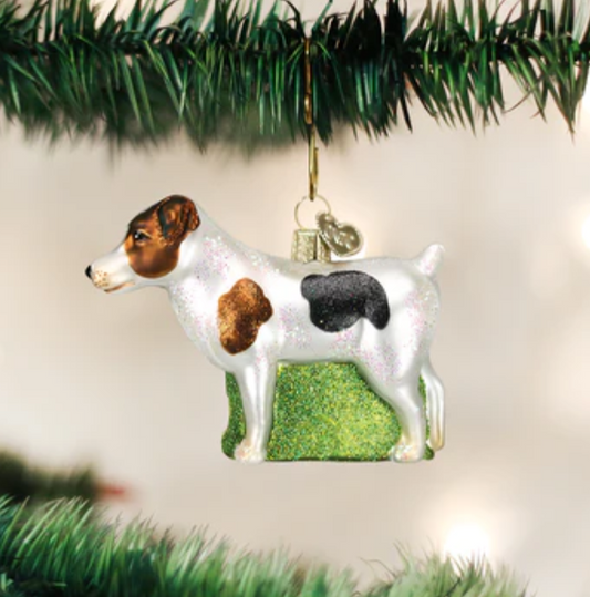 Jack Russell Terrier Ornament