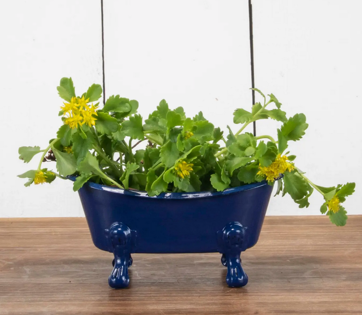 Blue Metal Bathtub Soapdish